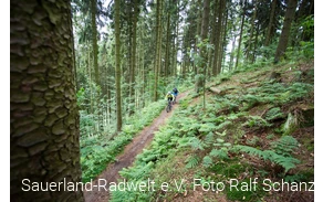 Zwei Mountainbiker auf einem Trail in Winterberg