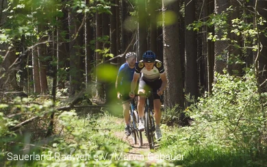 Zwei Freunde sind mit ihren Gravel Bikes im Wald unterwegs.