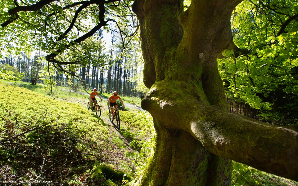 Zwei Biker auf ihrer Tour durch den Wald